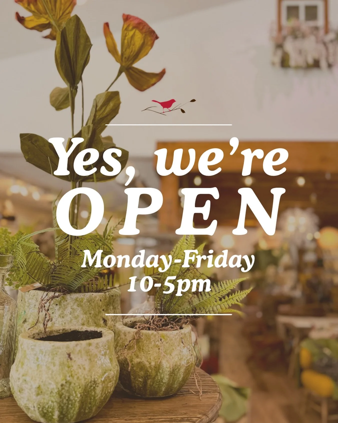 Hi everyone! The home store is officially open Monday through Friday 10am to 5pm. We&rsquo;re aiming to have plants in the greenhouse by late April! Excited to start the season and see your smiling faces 🌞 🌱