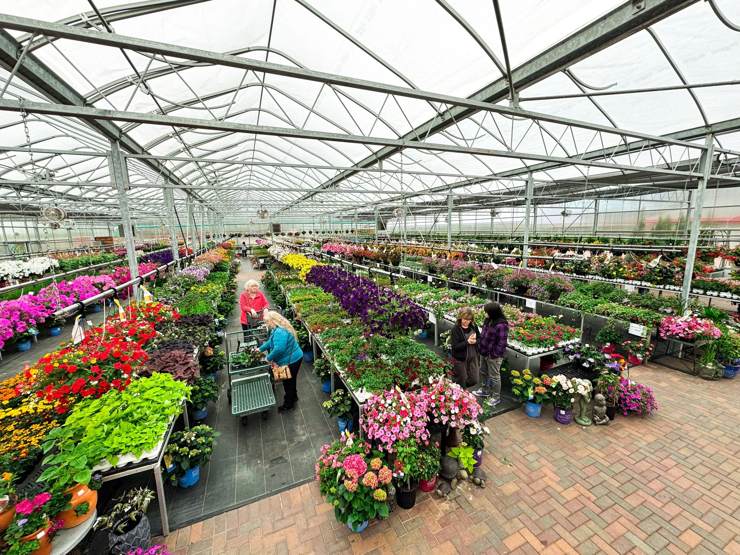 It might be cloudy but the greenhouse is warm and STOCKED! Come get some beautiful flowers for the special Mommas in your life! 🌸