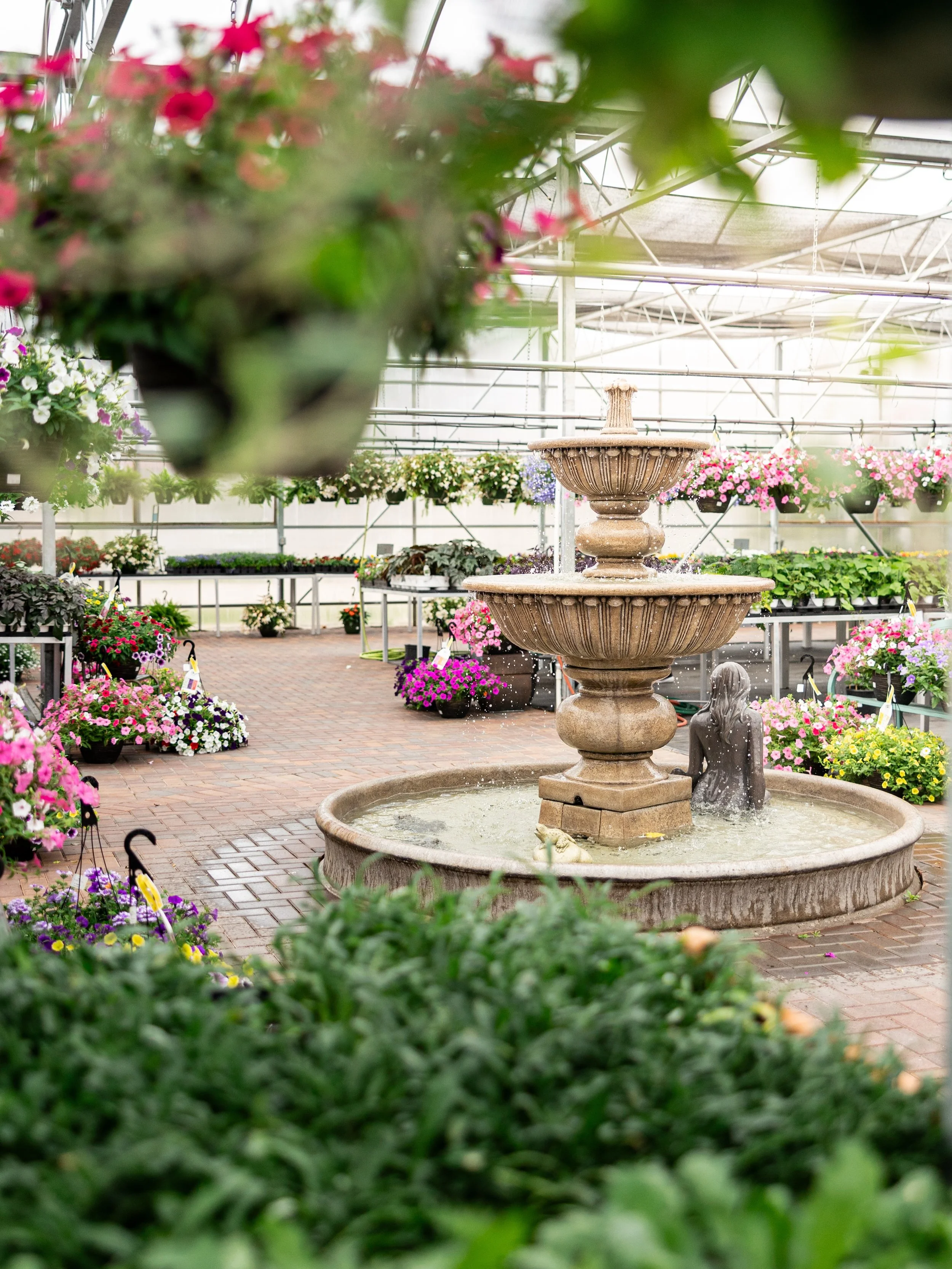 Someone said it&rsquo;s going to be 75 today&hellip; so we&rsquo;ll just be floating around the greenhouse. 🌸

Photo by Anamae Lynn Photography 📸