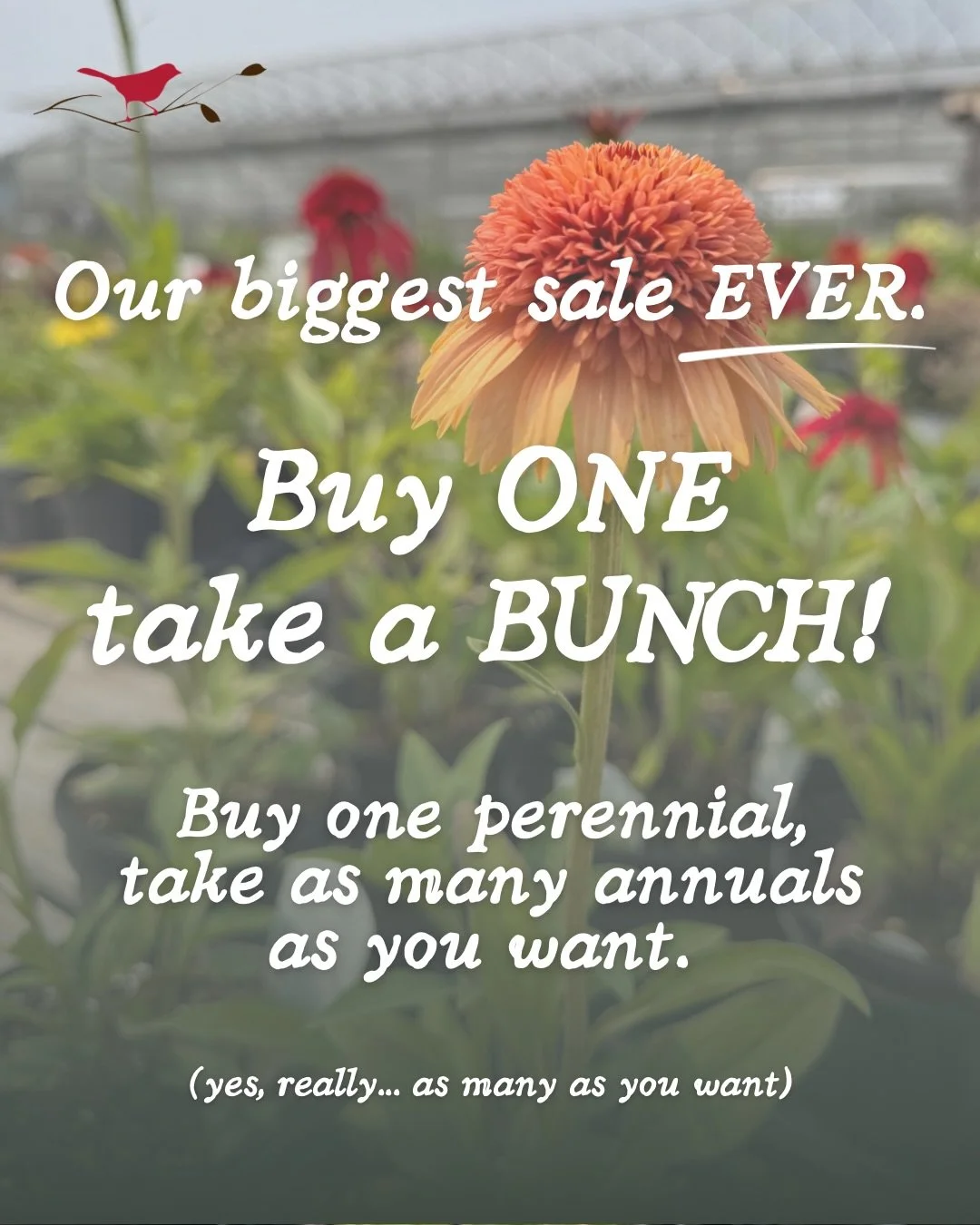 You read it right&hellip; buy ONE perennial&mdash;take as many annuals as you want! This sale is going on now through Saturday! Get over here &amp; fill your carts, Marquette 🌱