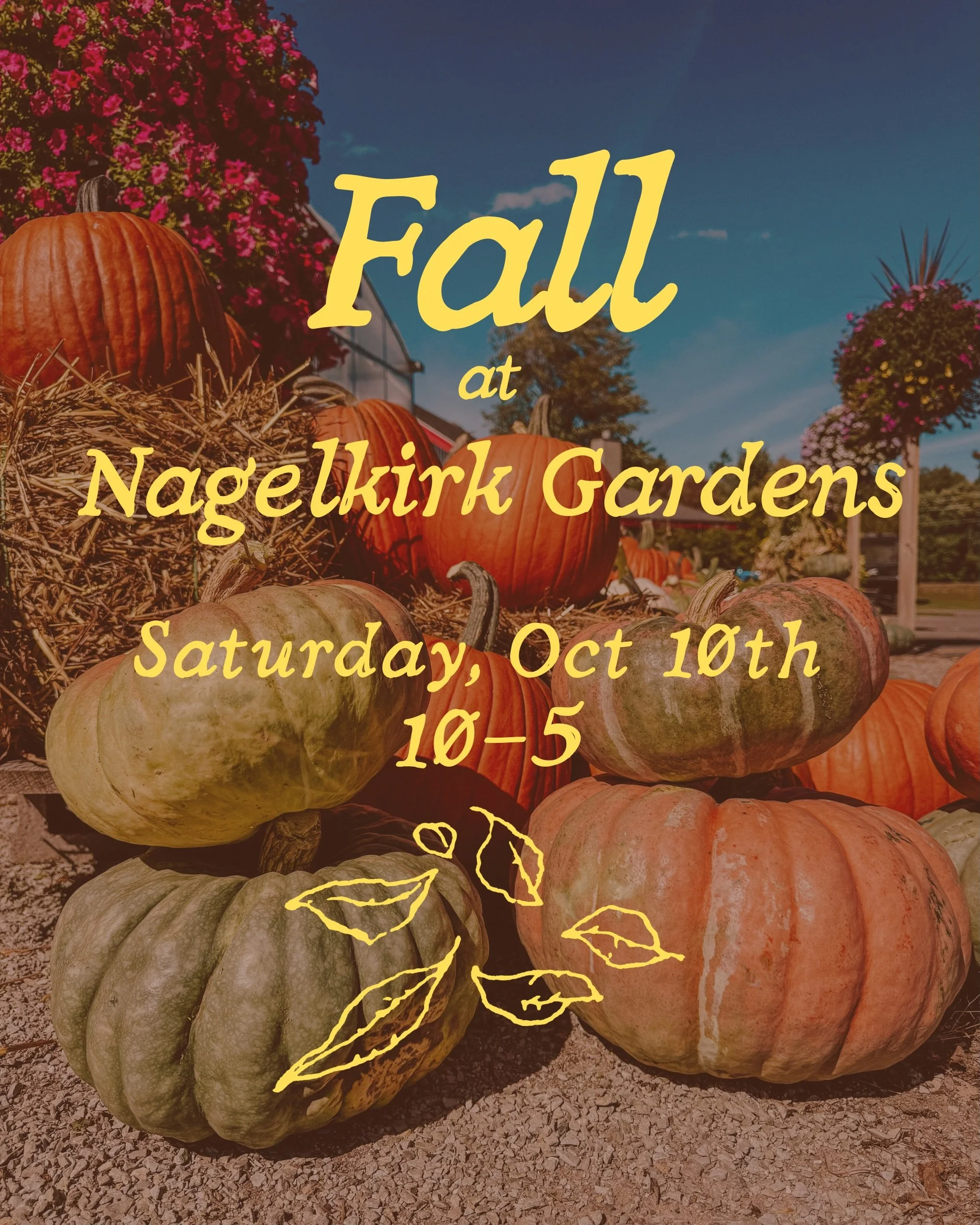 Fall is officially here at Nagelkirk Gardens! 🍂

Join us Saturday, Oct 10 for a day of pumpkins, coffee, and cozy fall fun. We&rsquo;re open 10-5, so browse the whole place at your own pace.

☕ @hitchedupcoffeeco coffee trailer, 10-1
🎃 Pumpkins for