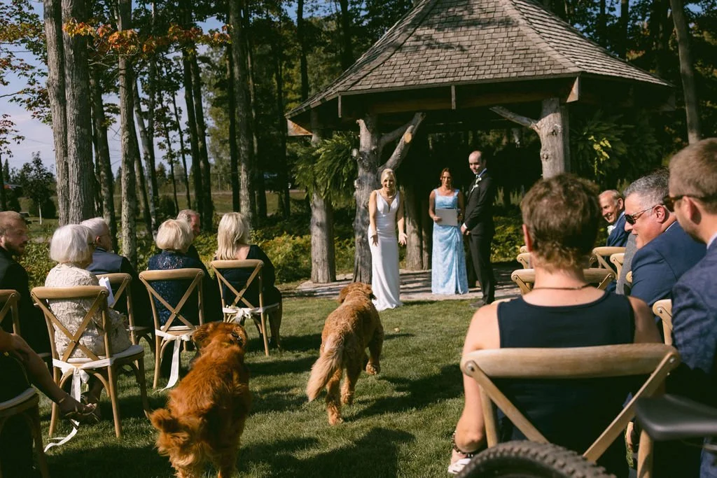  
  Photo Credit: 
   Emmoon Creative. 
 