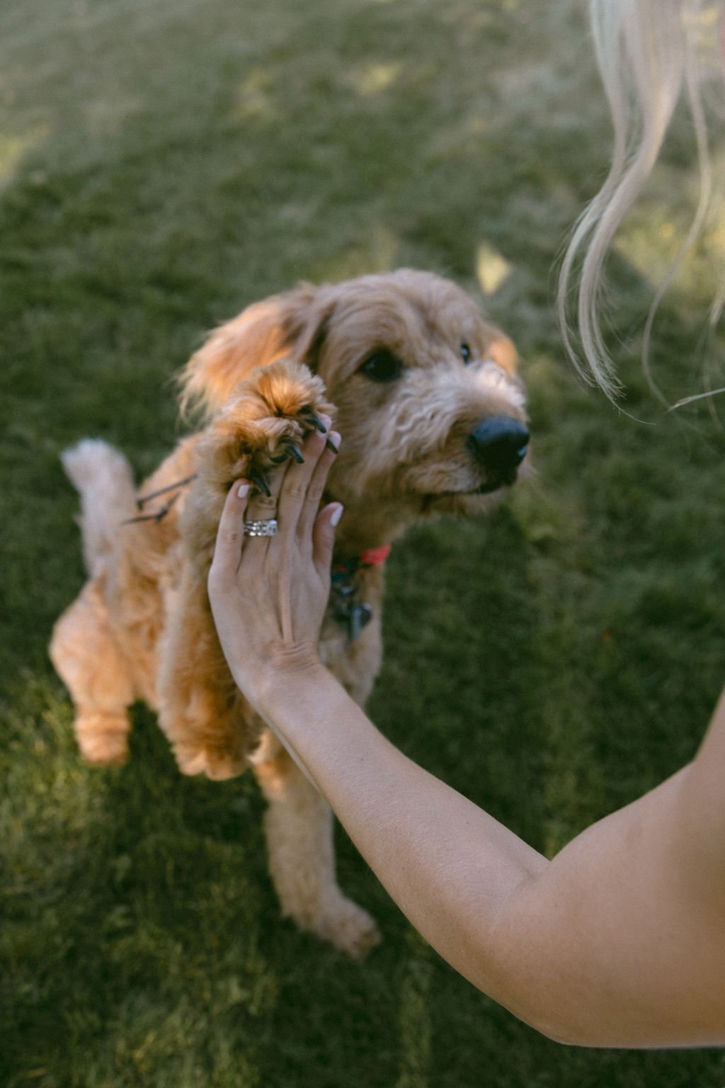  
  Photo Credit: 
   Emmoon Creative. 
 