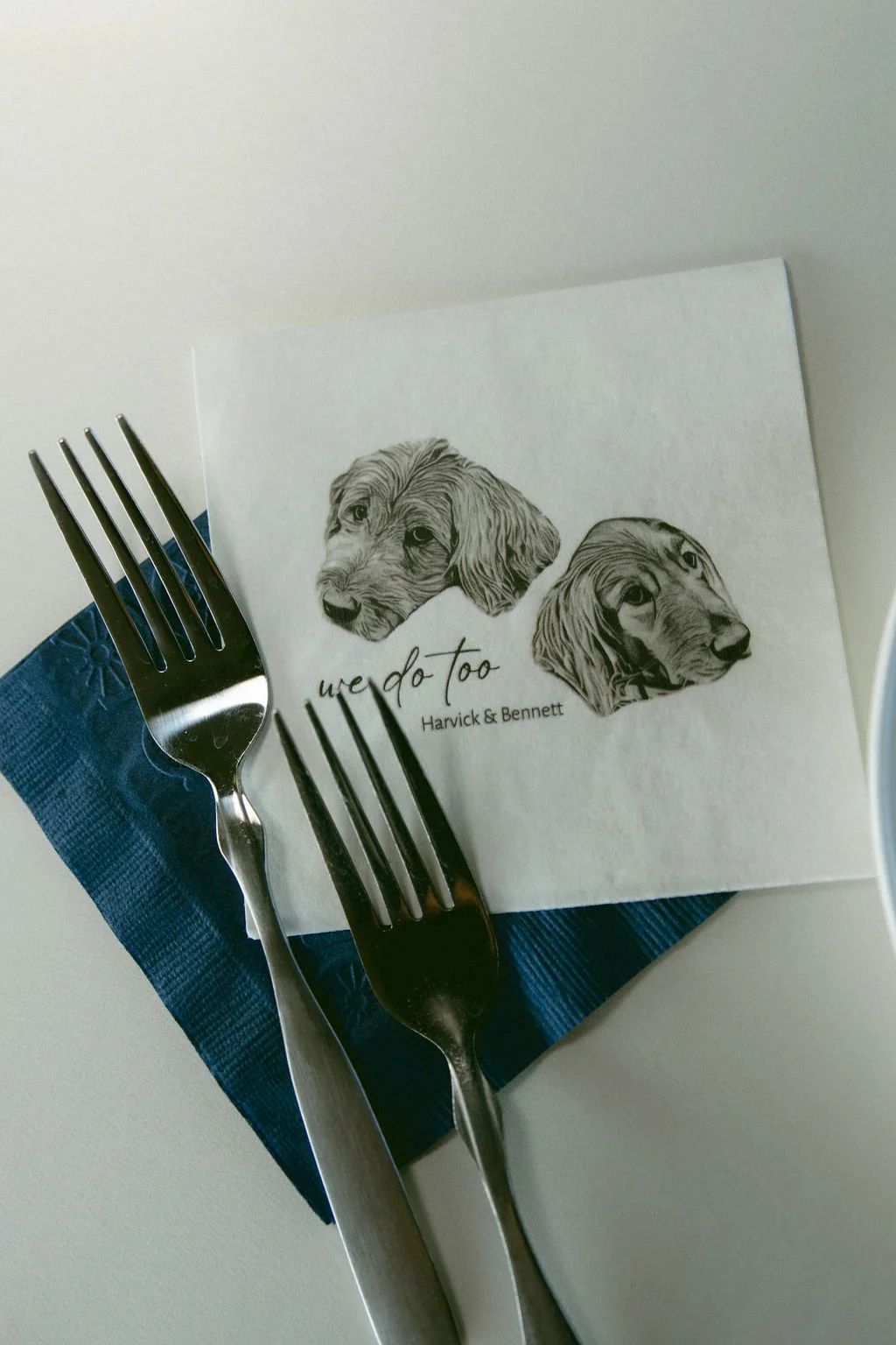  
  Photo Credit: 
   Emmoon Creative. 
 