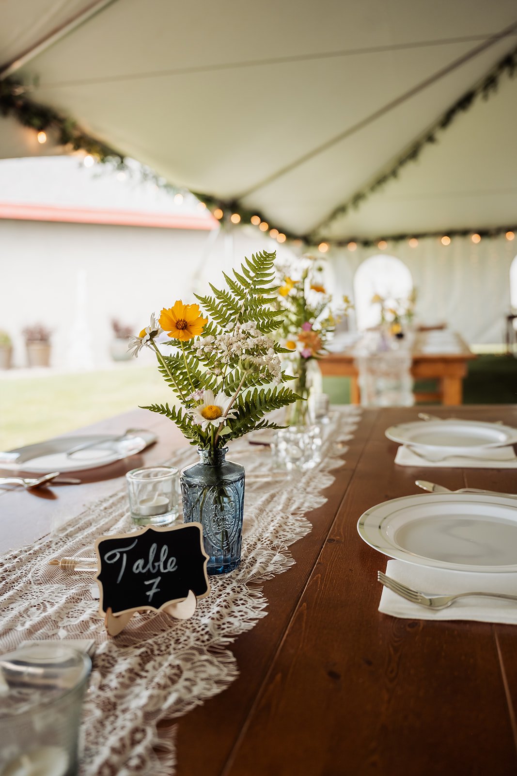  
  Photo Credit:  By KimGirl 
 