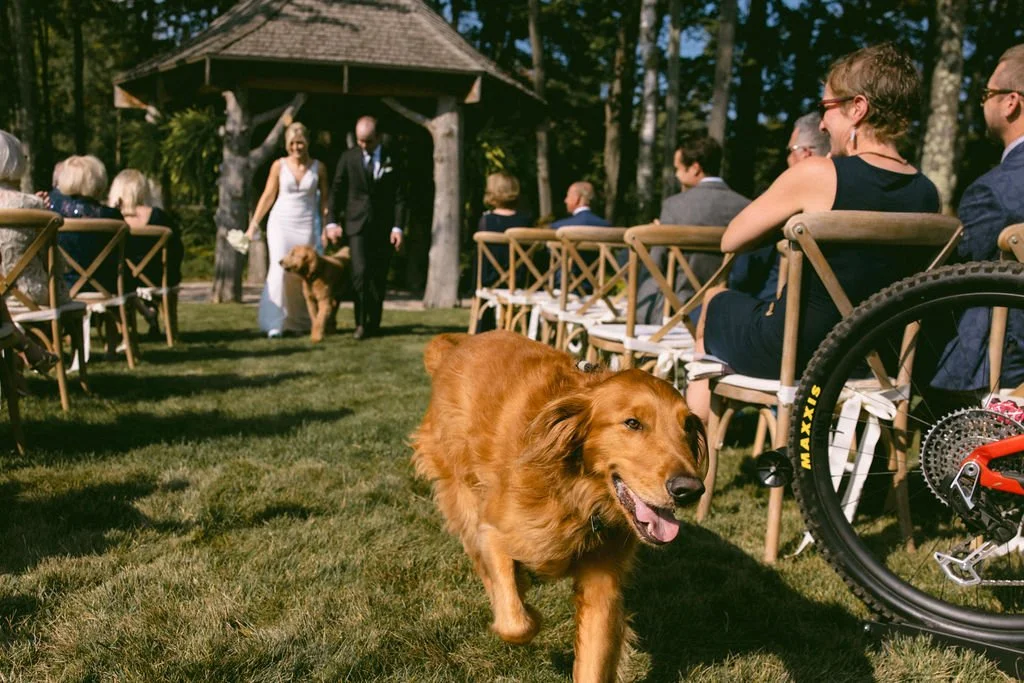  
  Photo Credit: 
   Emmoon Creative. 
 