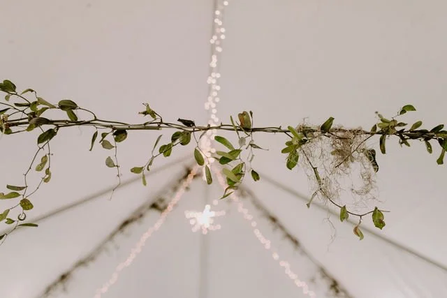 Photo: Love & Lichens