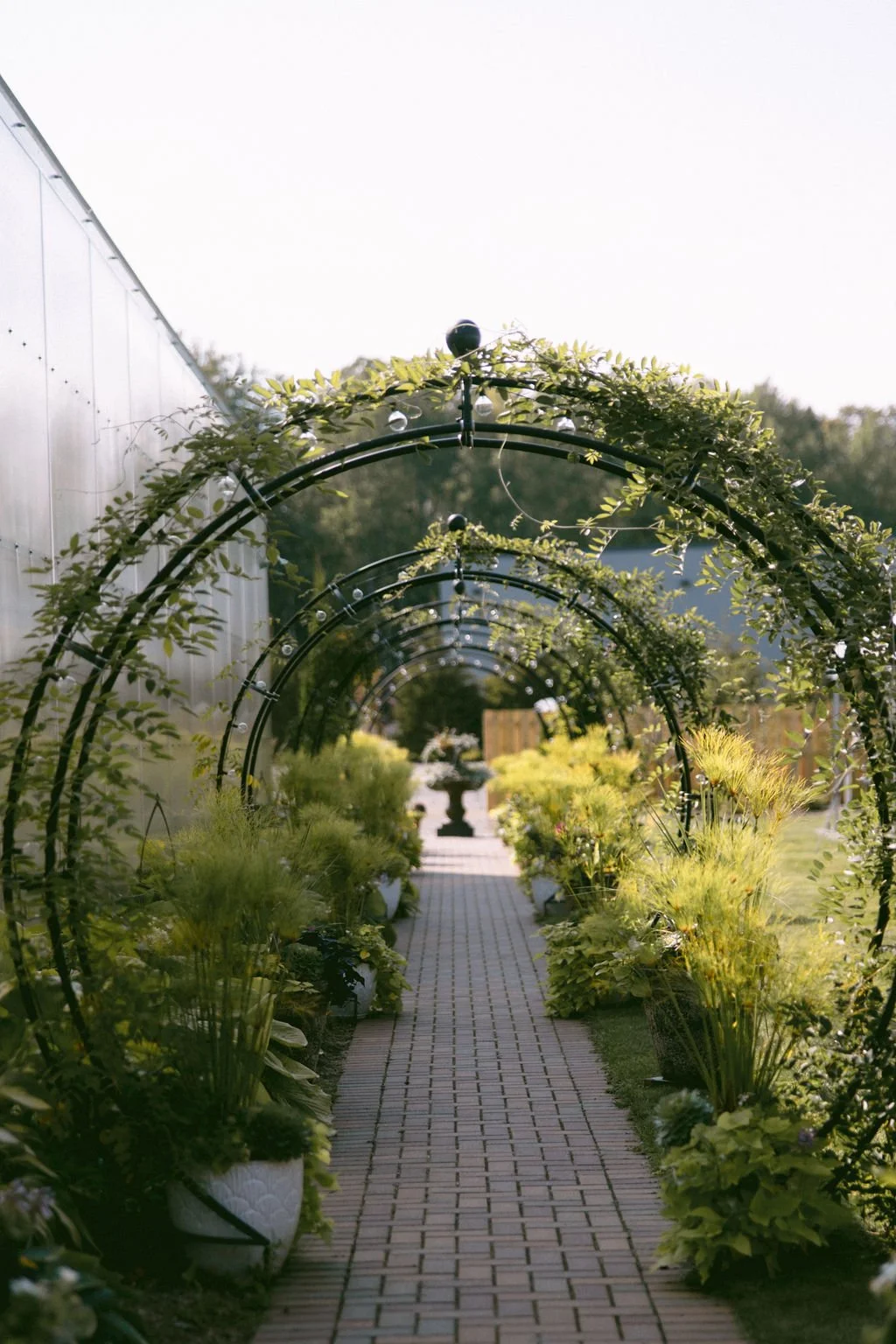  
  Photo Credit: 
   Emmoon Creative. 
 