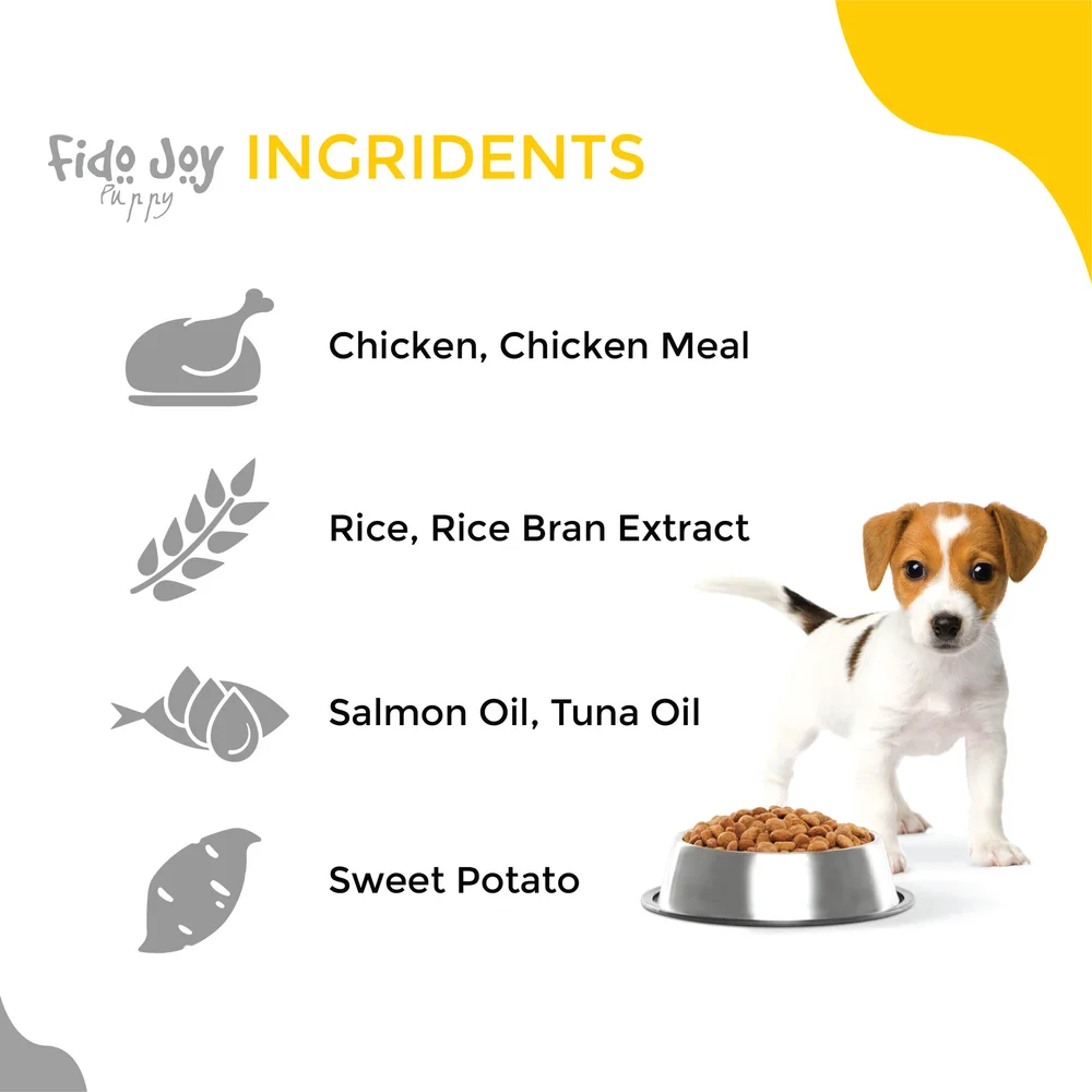 Can You Feed Dogs Rice Bran