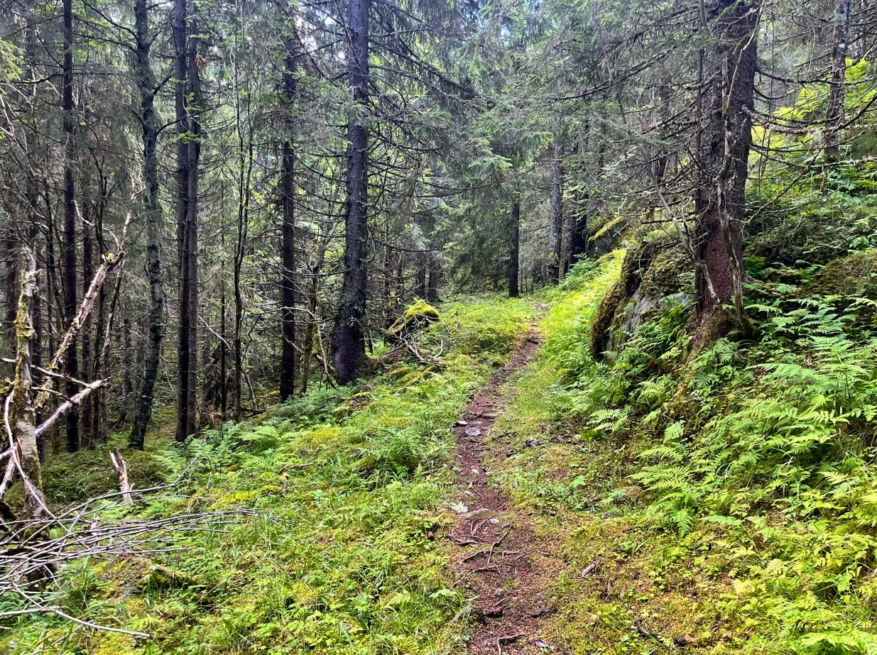 Skjermbilde 2026-04-26 121838.jpg