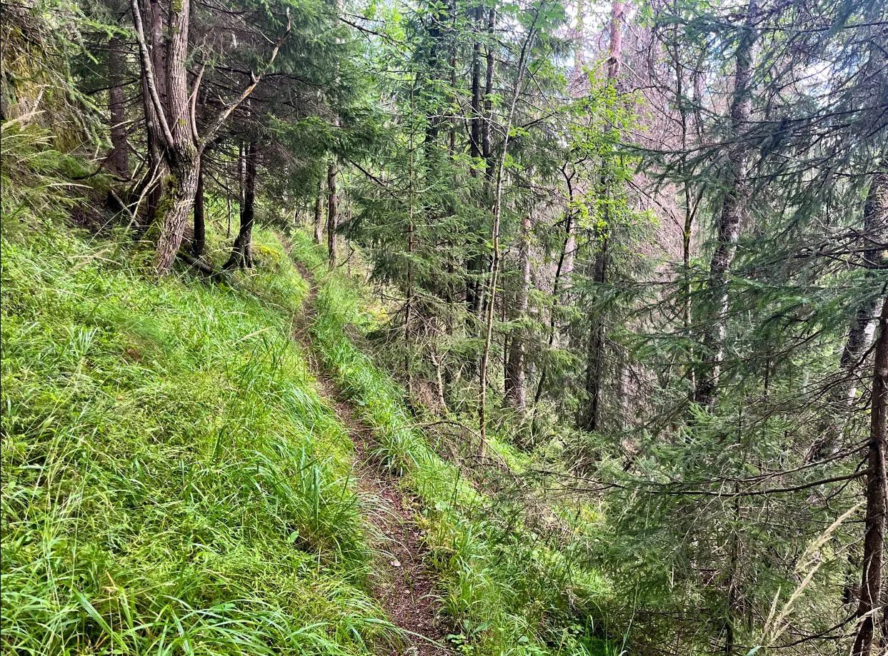 Skjermbilde 2026-04-26 121848.jpg