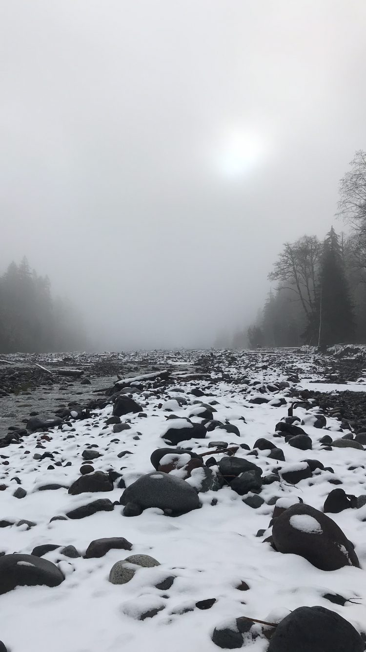 nature 2.png