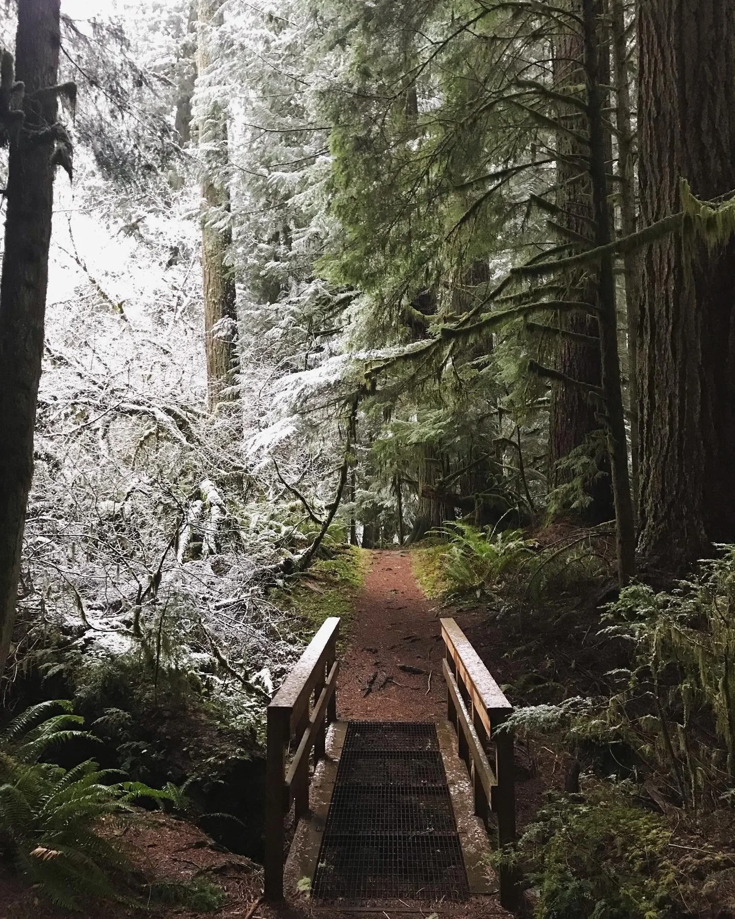 nature 7.jpg
