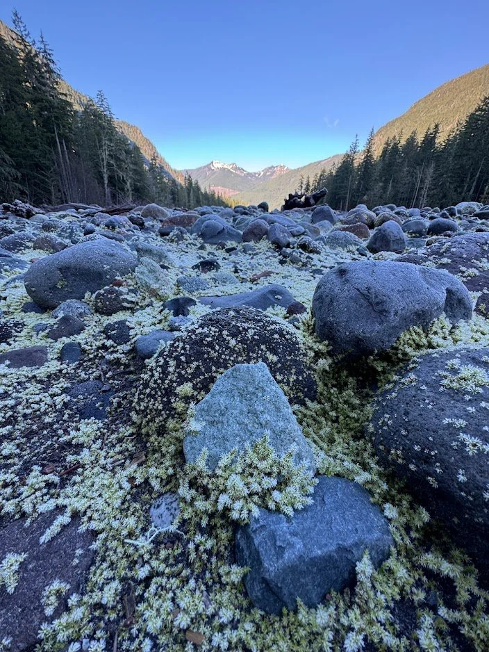 Rainer State Park.jpg