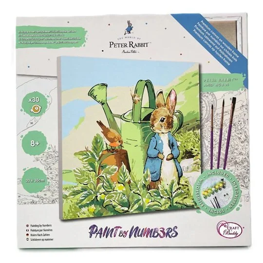 Peter Rabbit & Robin Craft Buddy Paint by Numbers Painting Canvas Kit 30 x 30cm PBN-PRBT01 (1).jpg