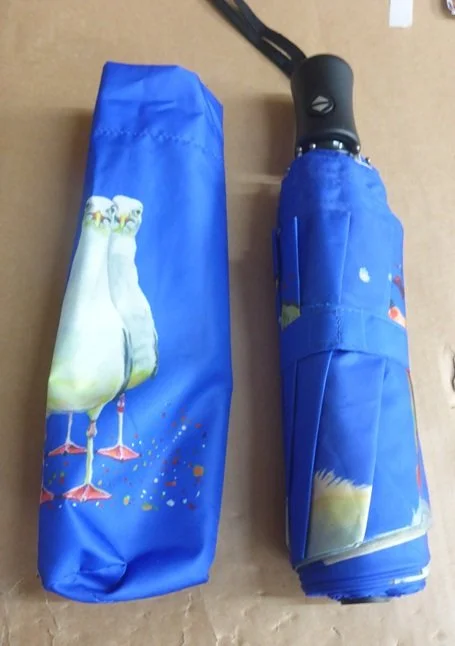 Soake Cherry Parsons Blue Seagull Art Folding Style Compact Umbrella Brolley (3).JPG