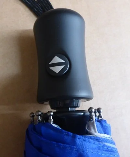 Soake Cherry Parsons Blue Seagull Art Folding Style Compact Umbrella Brolley (4).JPG