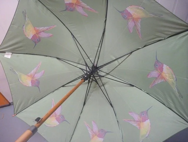 Soake Emily Smith Hermoine Hummingbird Print Large Walk Stick Umbrella Brolley EMILYHER  (option1) (9).JPG