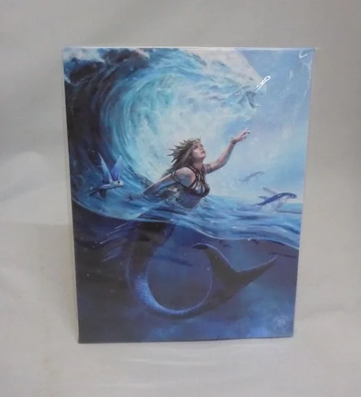 Anne Stokes Water Element Sorceress Small Printed Art Canvas Plaque Decoration 19 cm x 25cm AS_98322 (1).JPG