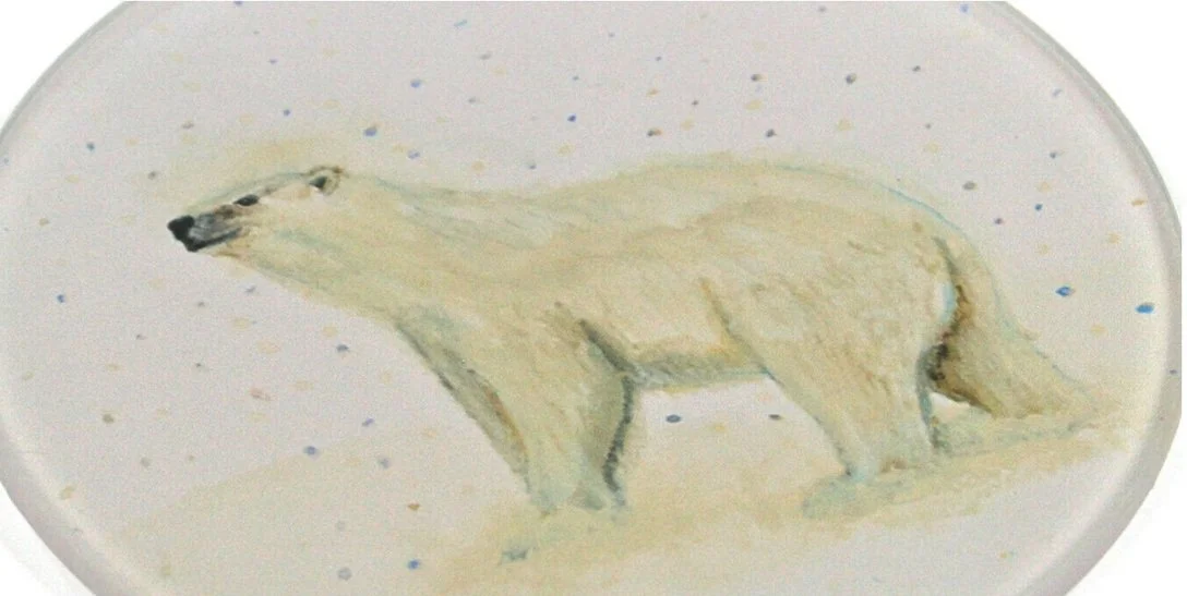 black ginger polar bear coasters (1).jpg