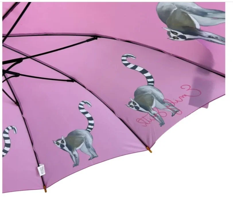 Soake Emily Smith Liv Livvy Pink Lemar Print Large Walk Stick Umbrella Brolley (3).jpg