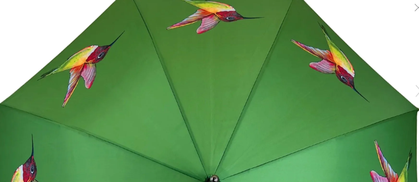 Soake Emily Smith Hermoine Hummingbird Print Large Walk Stick Umbrella Brolley (2).jpg