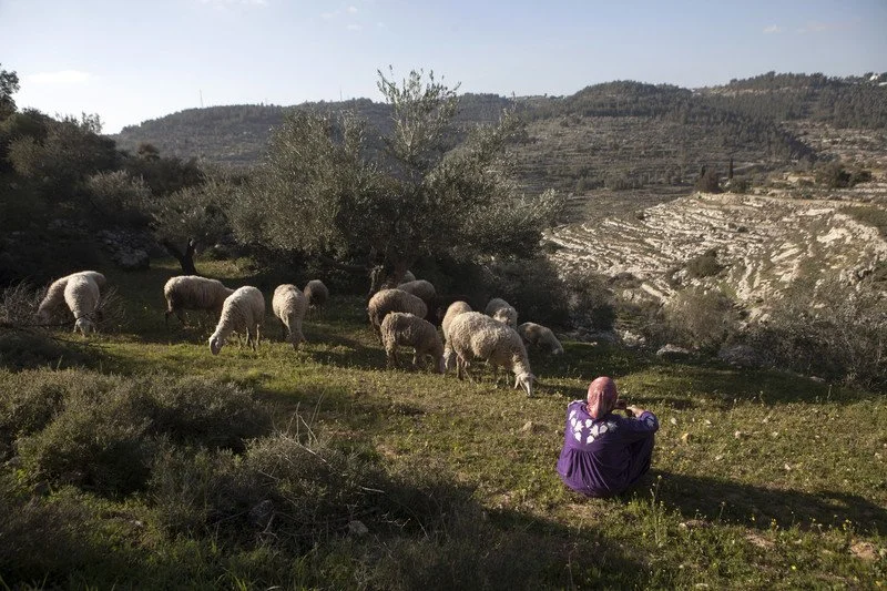 IPMN Stands Against Continuing Demolitions and Destruction of the Village of Al-Walajeh