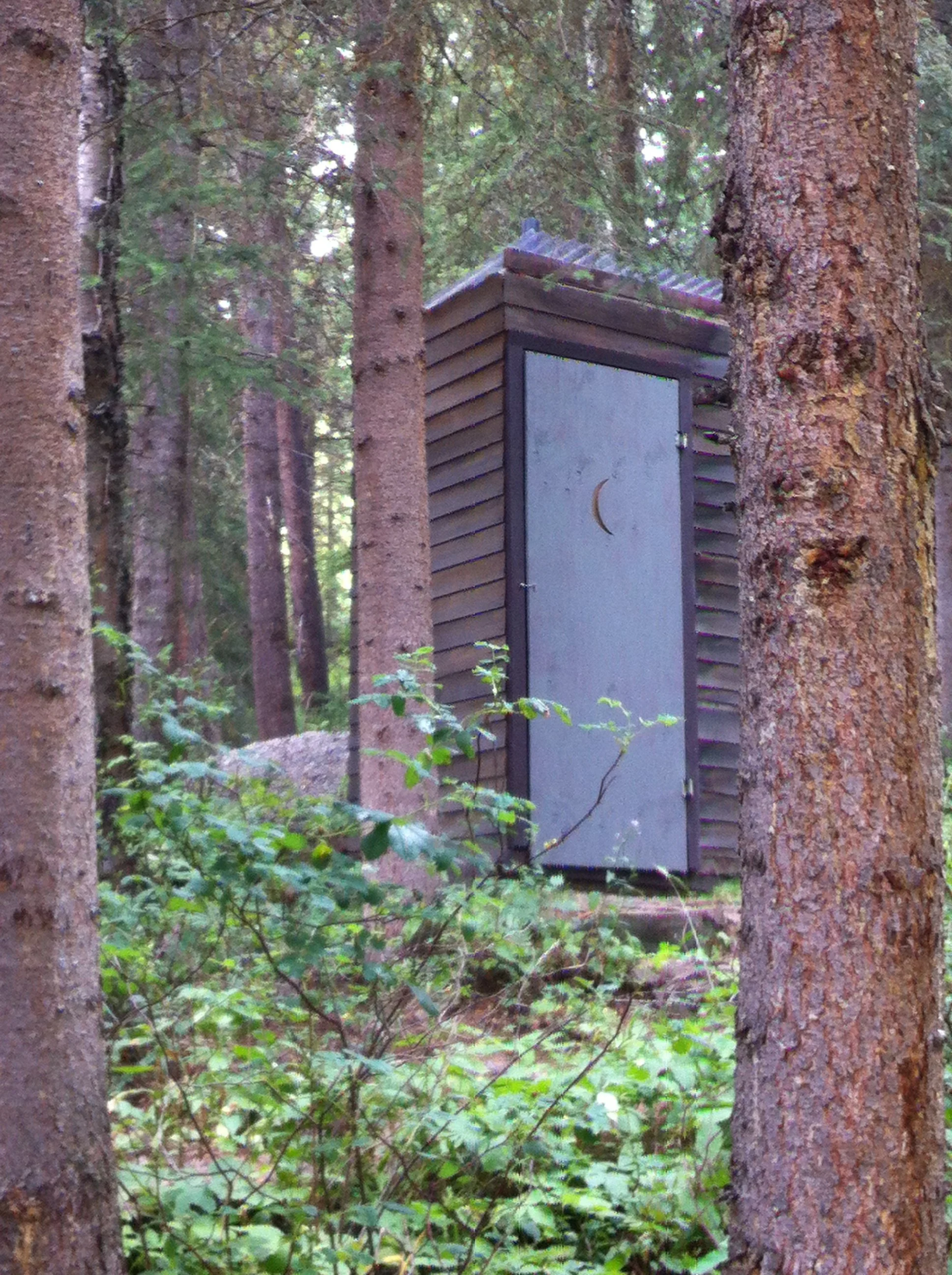 An old outhouse sits in the woods full of spruce, pine and fir trees. Some green growth and shrubs are below the canopy of trees. The outhouse has a half moon on the door, a traditional motif found on outhouses.