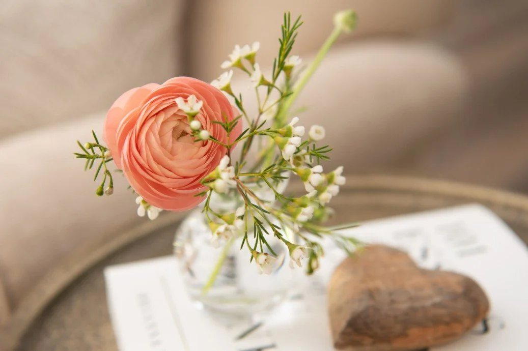 A clear petite vase has a peach colored ranunculous and white waxflower in it.