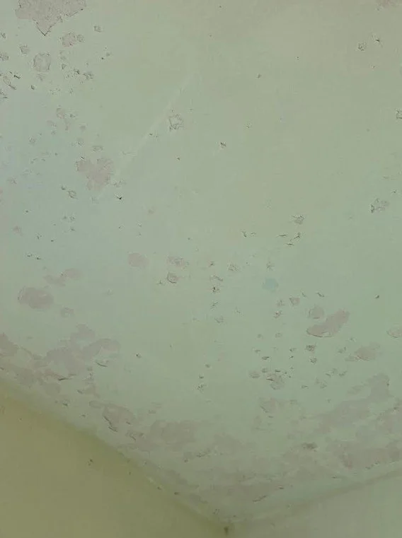 Damaged paint on ceiling of this bathroom. The wrong paint was applied over an original oil paint. The result is peeling paint, reminiscent of craters on the moon.