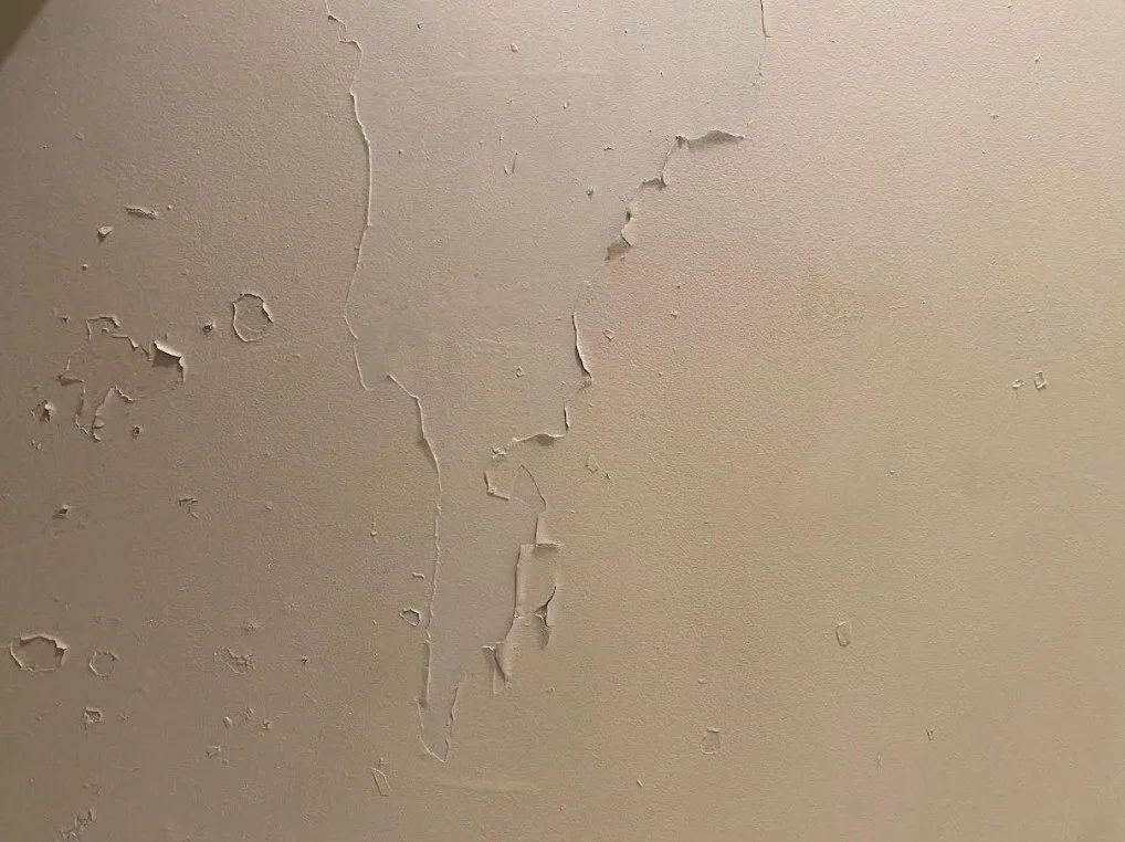 Ugly bathroom with peeling paint due to excessive moisture because there was no fan in this old bathroom. Also, acrylic paint applied over an old oil based paint makes it peel.