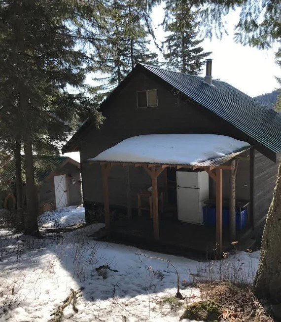 The outdoor, backside of a cabin with a peaked roof and a green corrugated plastic roofing material (which is covered in snow) is protecting an outdoor fridge and recycling containers from the elements.