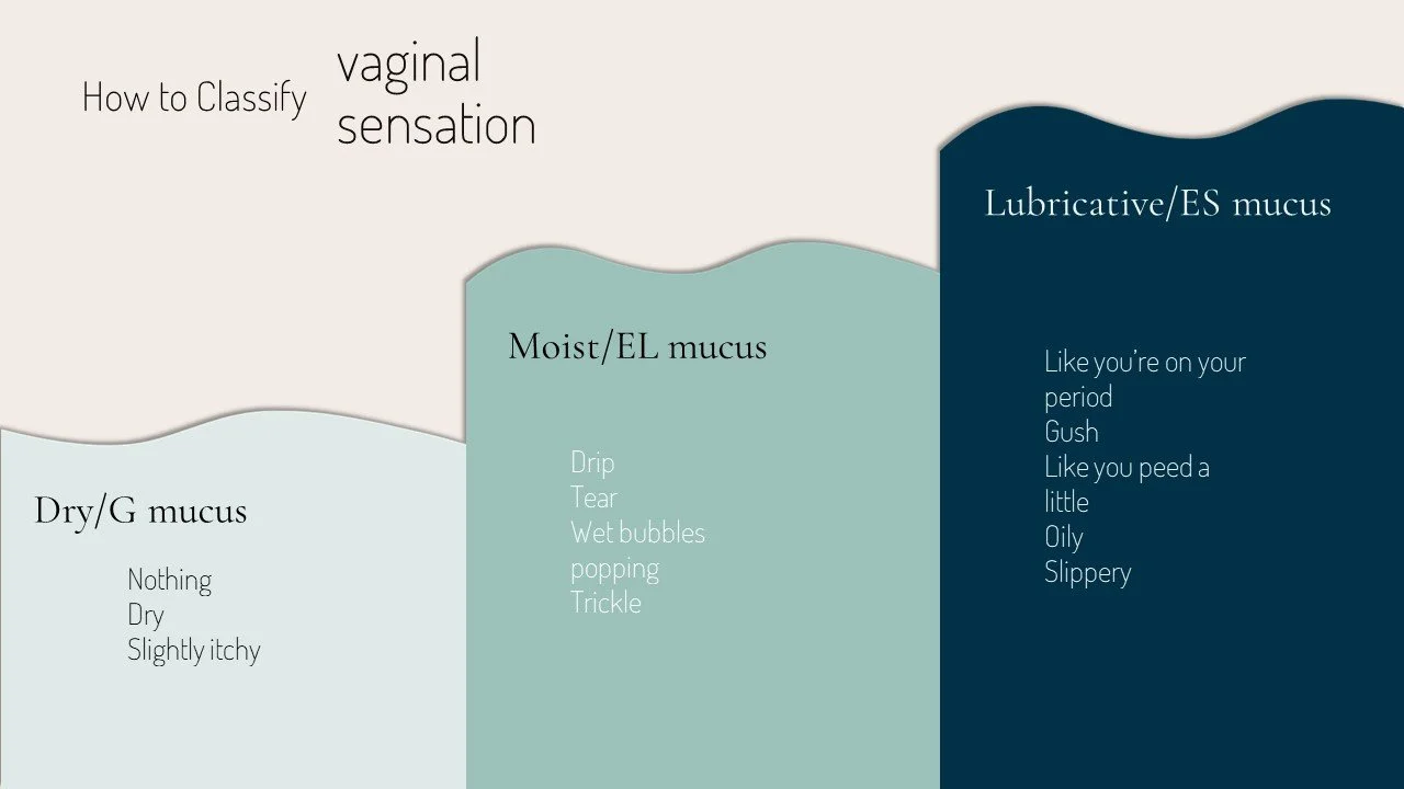 Biomarker Basics: Cervical Fluid