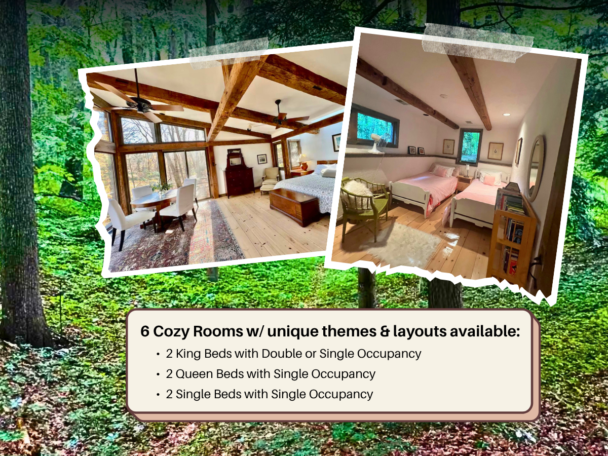 Two images of cozy bedroom interiors with wood beams, large windows, and various bed arrangements, set against a green forest background with promotional text about six unique rooms available with different bedding configurations.