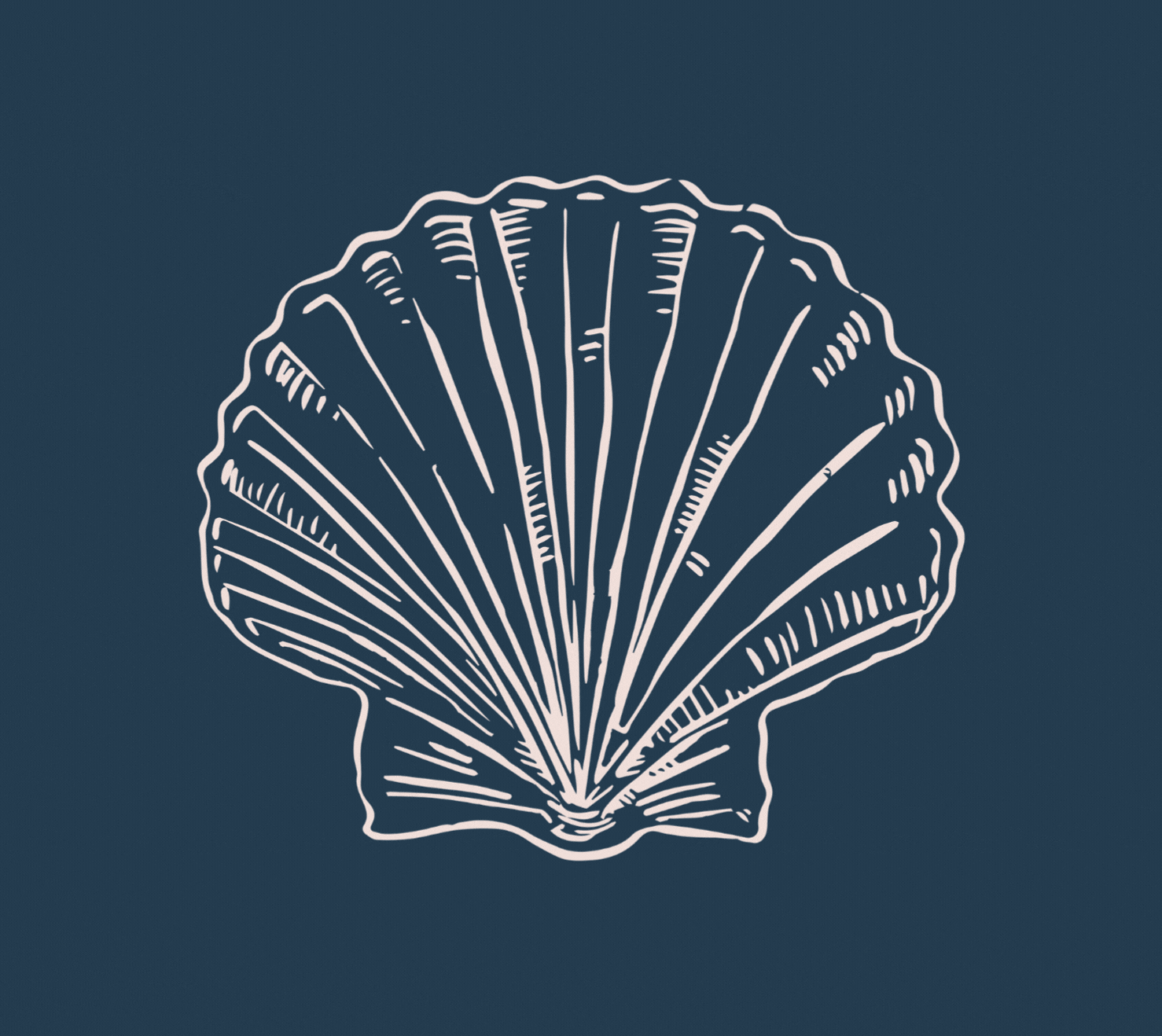 Line drawing of a seashell on a dark blue background.