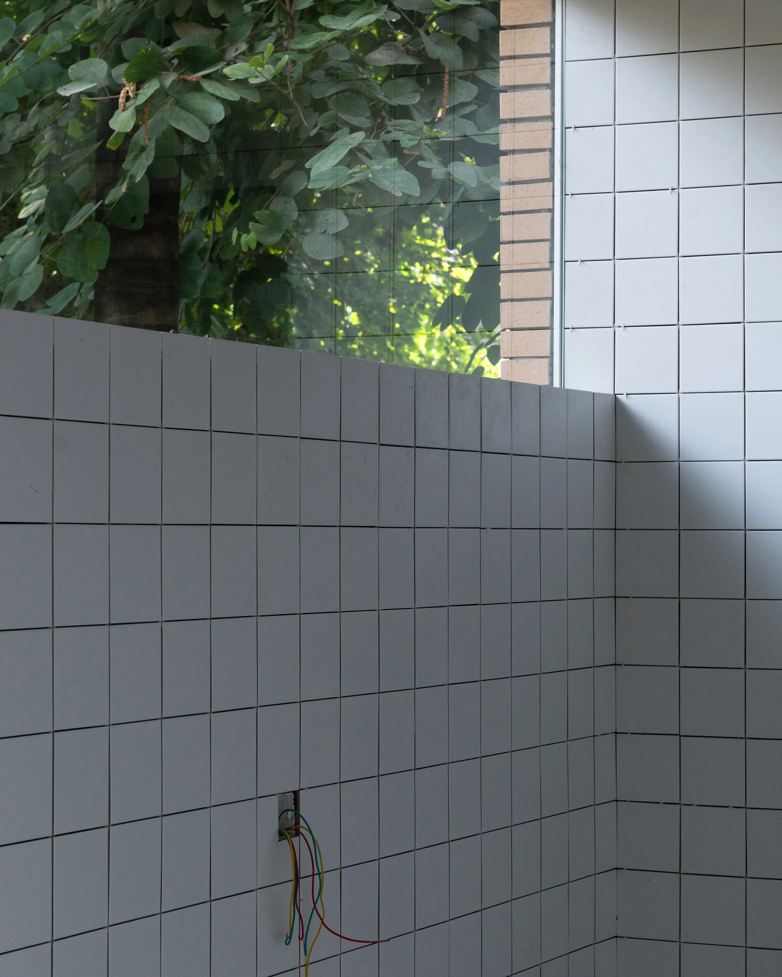 _DSC4024.JPEG