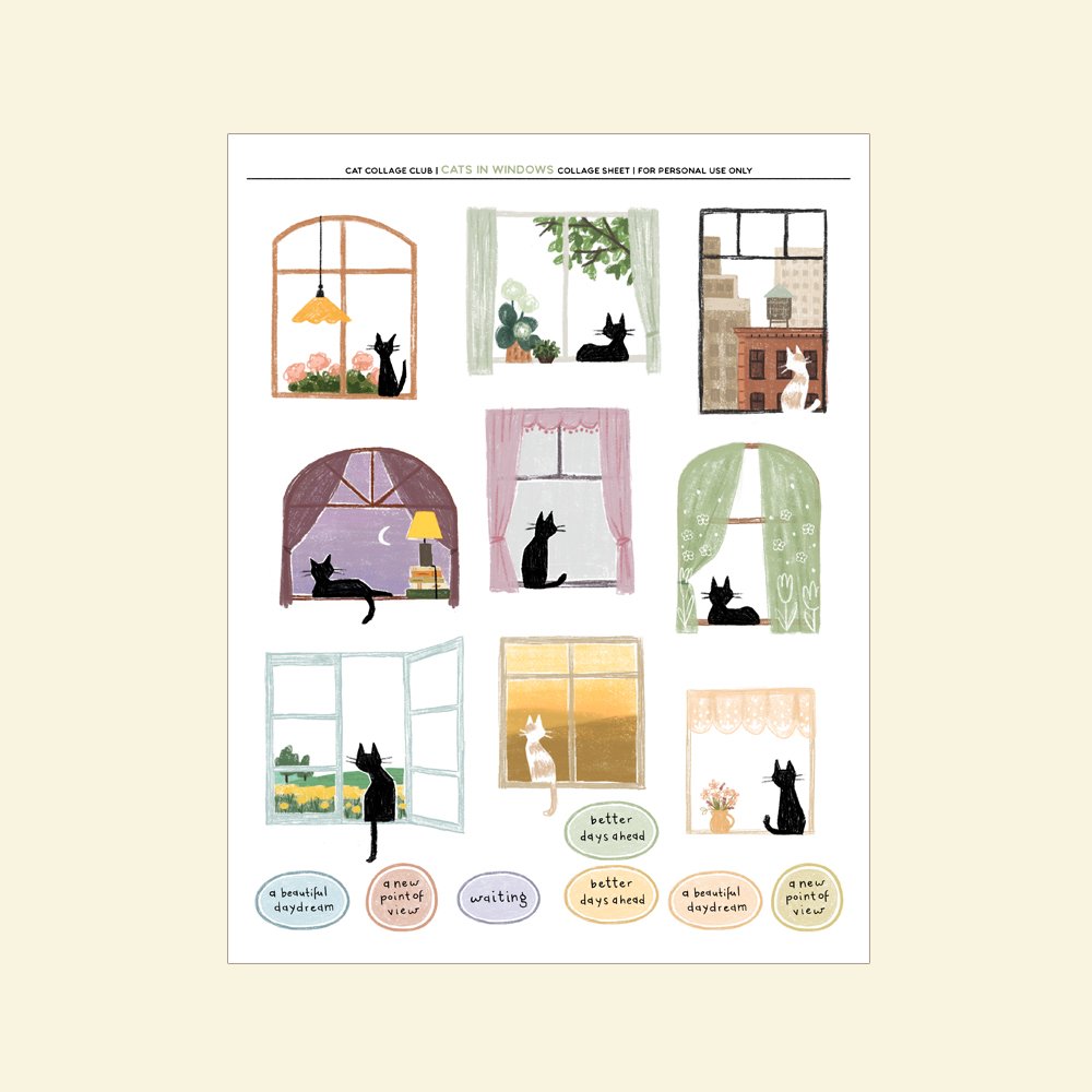 CCC-CatsInWindows-ShopImage1.jpg