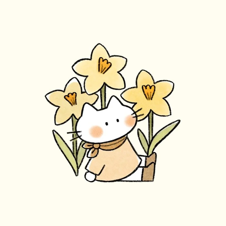 🌼 Hello spring 🌼