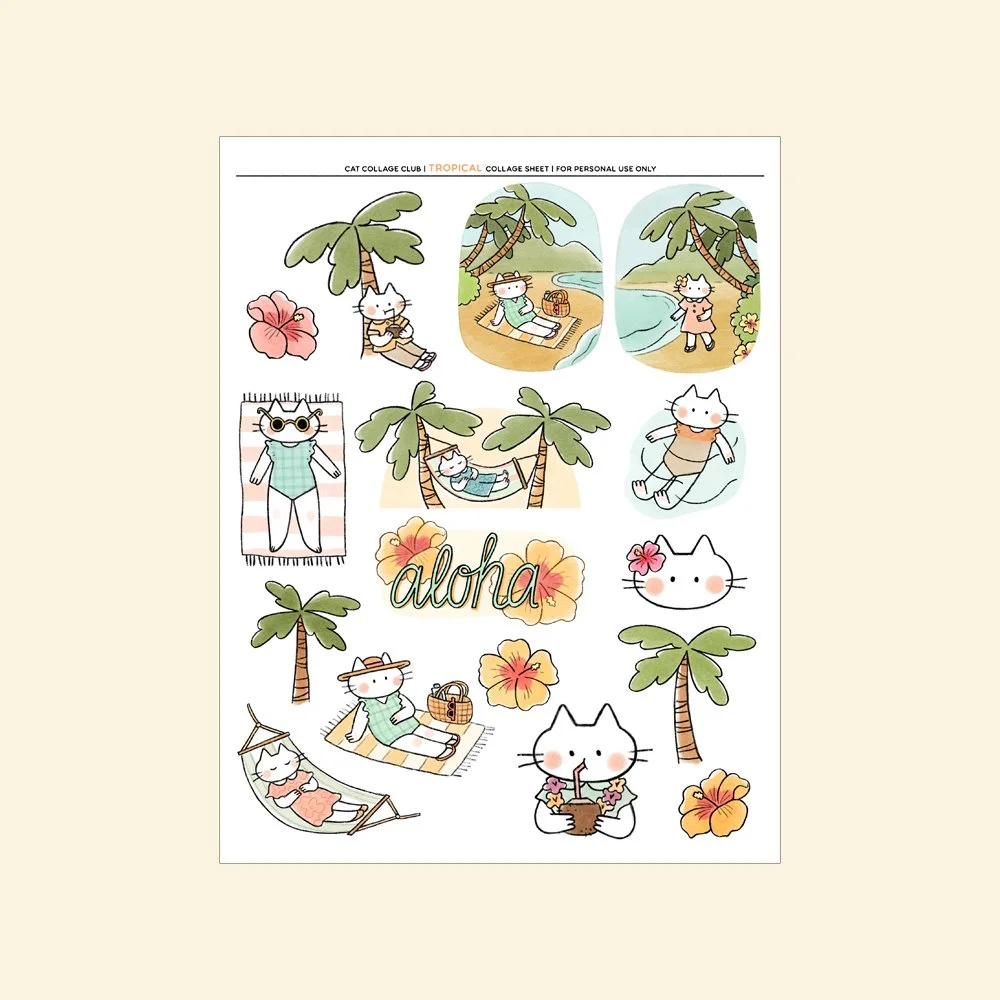 CCC-Tropical-ShopImage1.jpg
