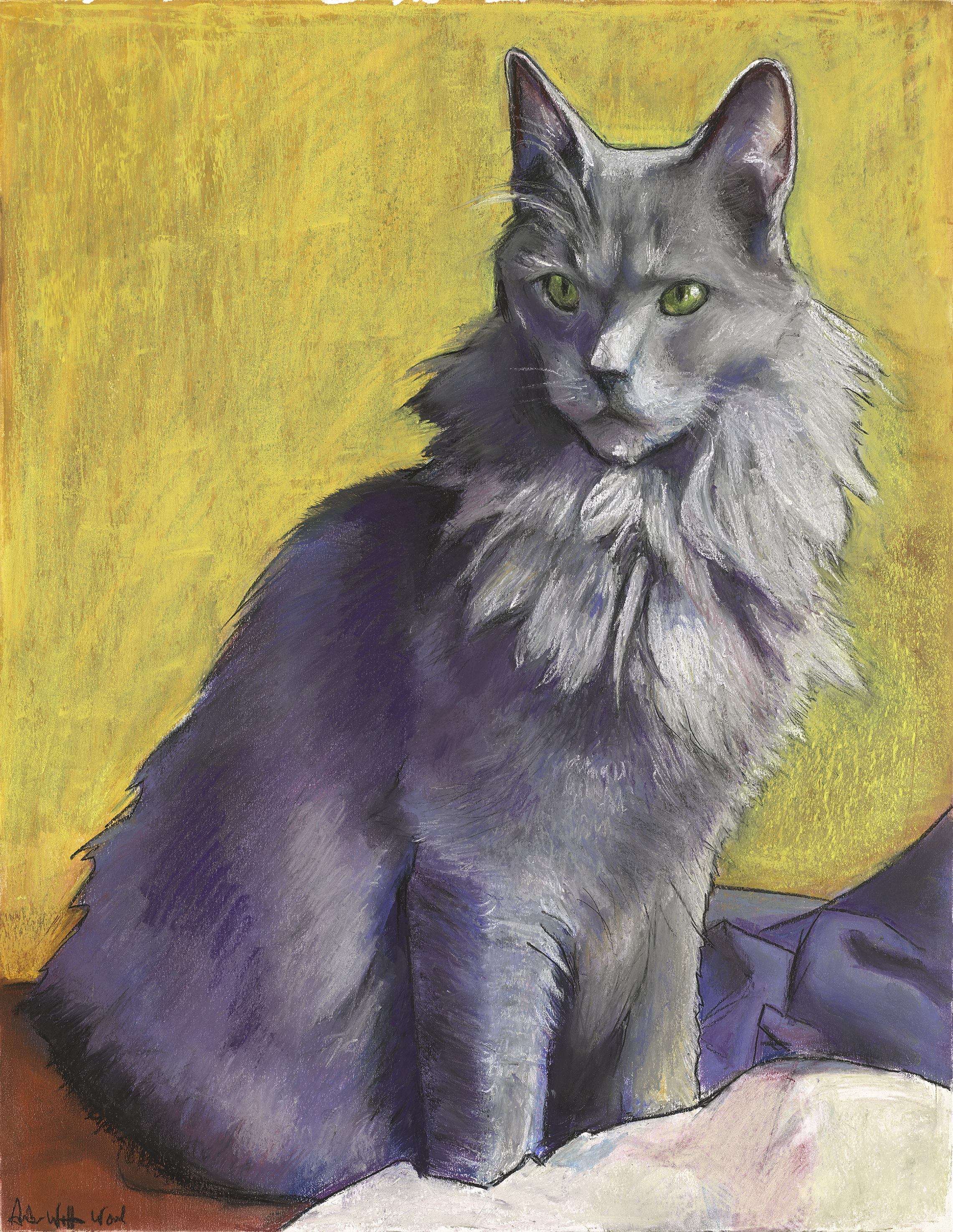 jeff the cat.png
