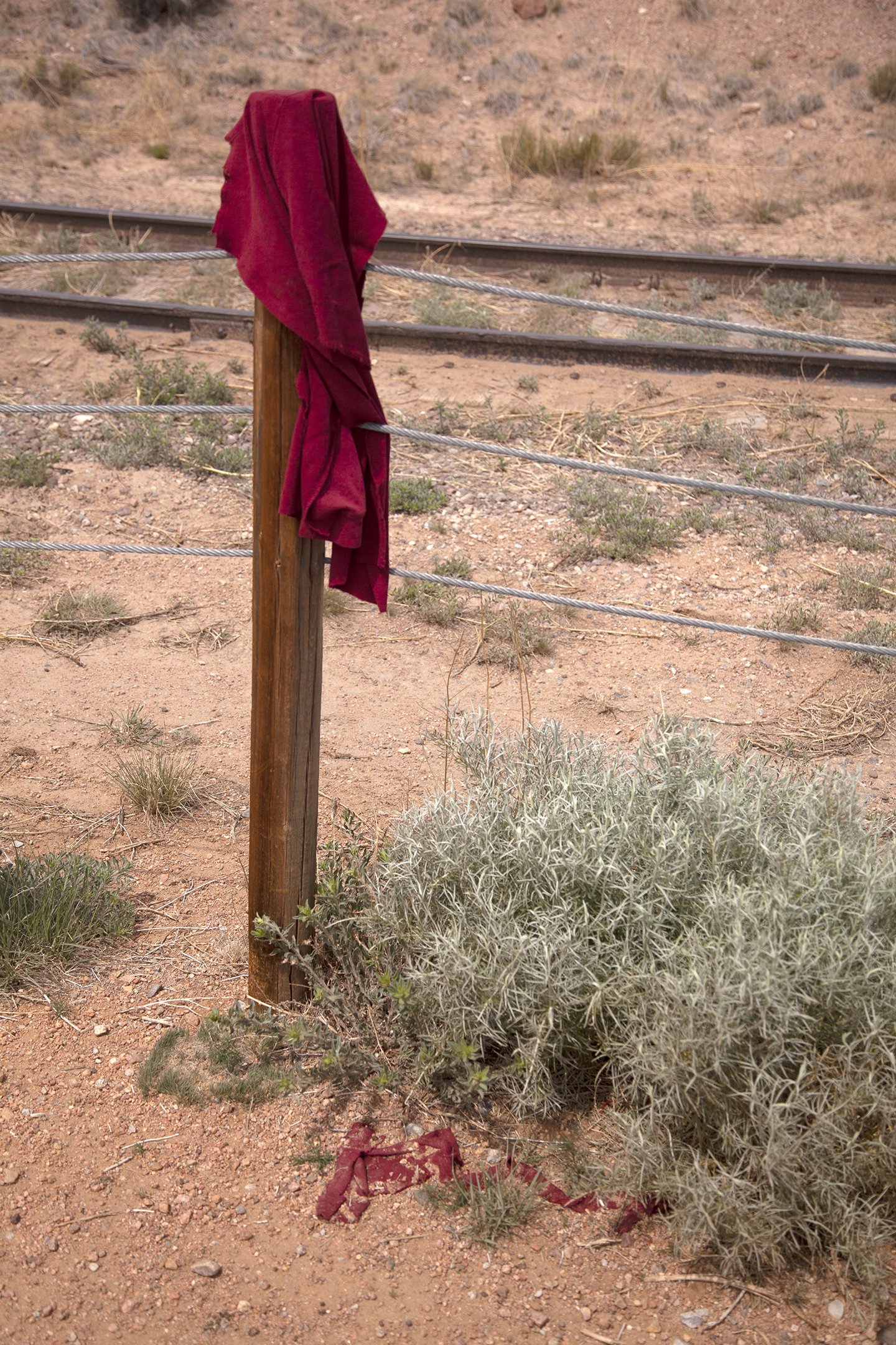red shirt on rabit road trail.-s.jpg