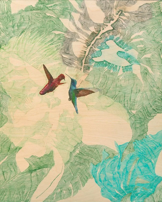 Drawing with hummingbirds