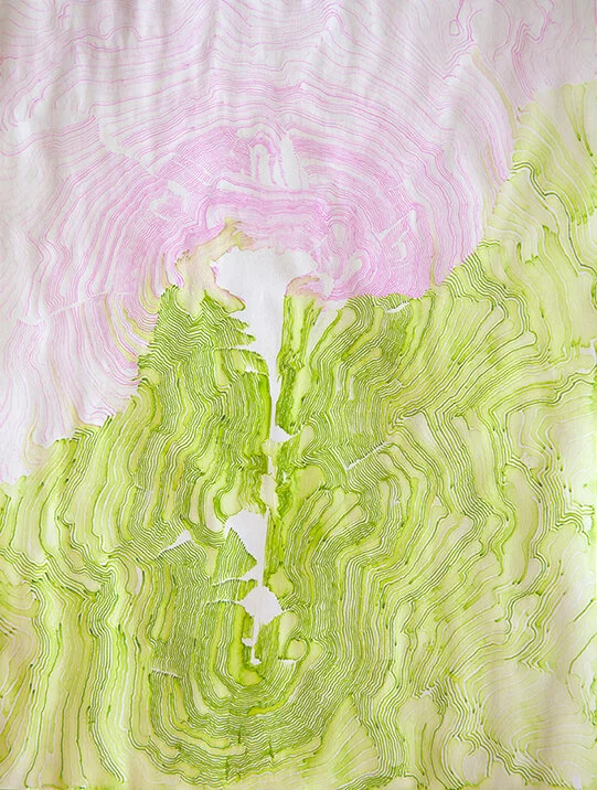 The aura of a carnation, pen and ink on paper, 9x12”.

[The pen is frequently dipped in water, which stays on the surface of the pen and randomly drips down to the tip during the drawing, at which point diluting the ink and producing a ‘pool’ in effe