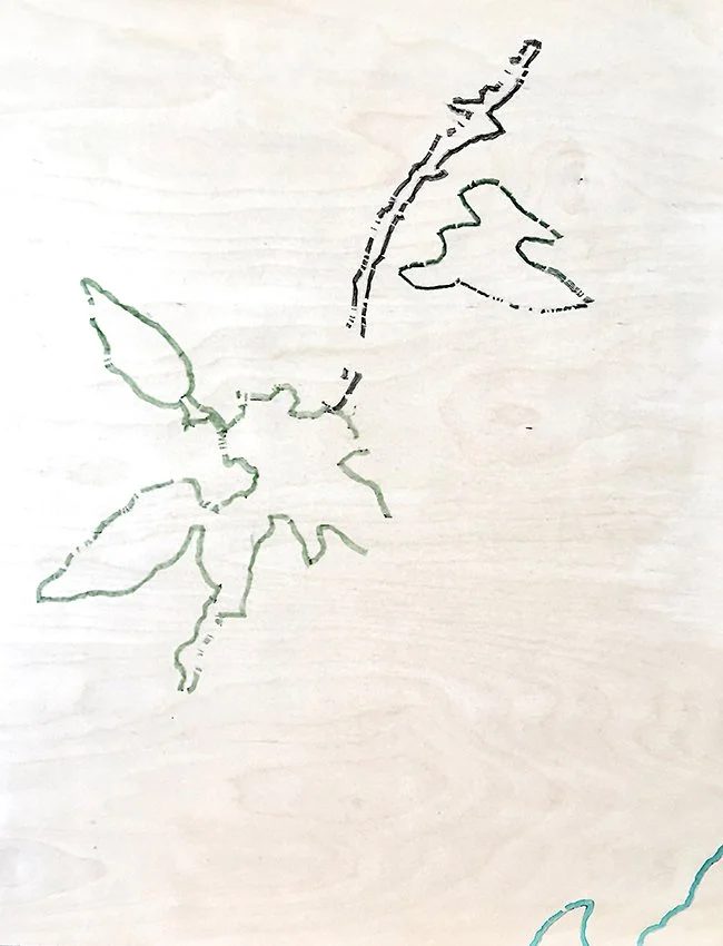 Those traced-lines are duplicated.