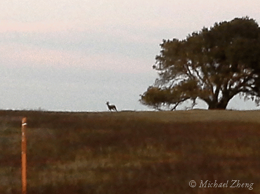 Draw a line and follow it