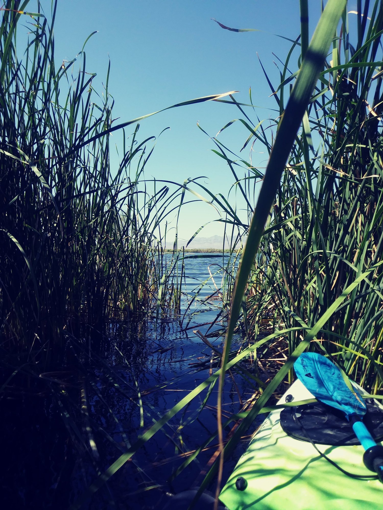 Lineout Freshwatewr Fishing