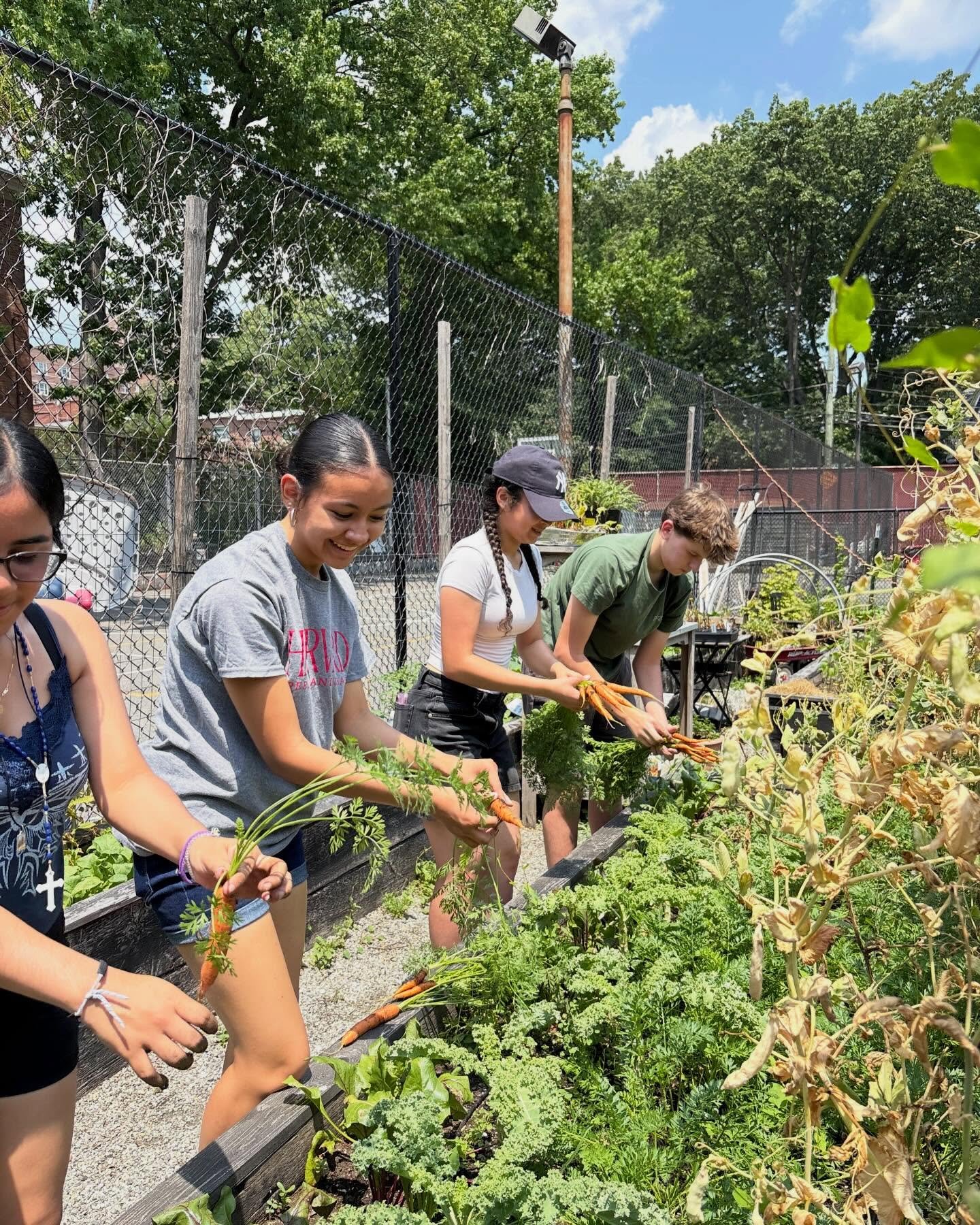 Spring is here, which means it&rsquo;s the perfect time to get out and garden! Next week, we have several volunteer opportunities in our garden and around the neighborhood:

Tuesday April 7th 10am-2pm: Cultivating a new pollinator garden at In Tech A