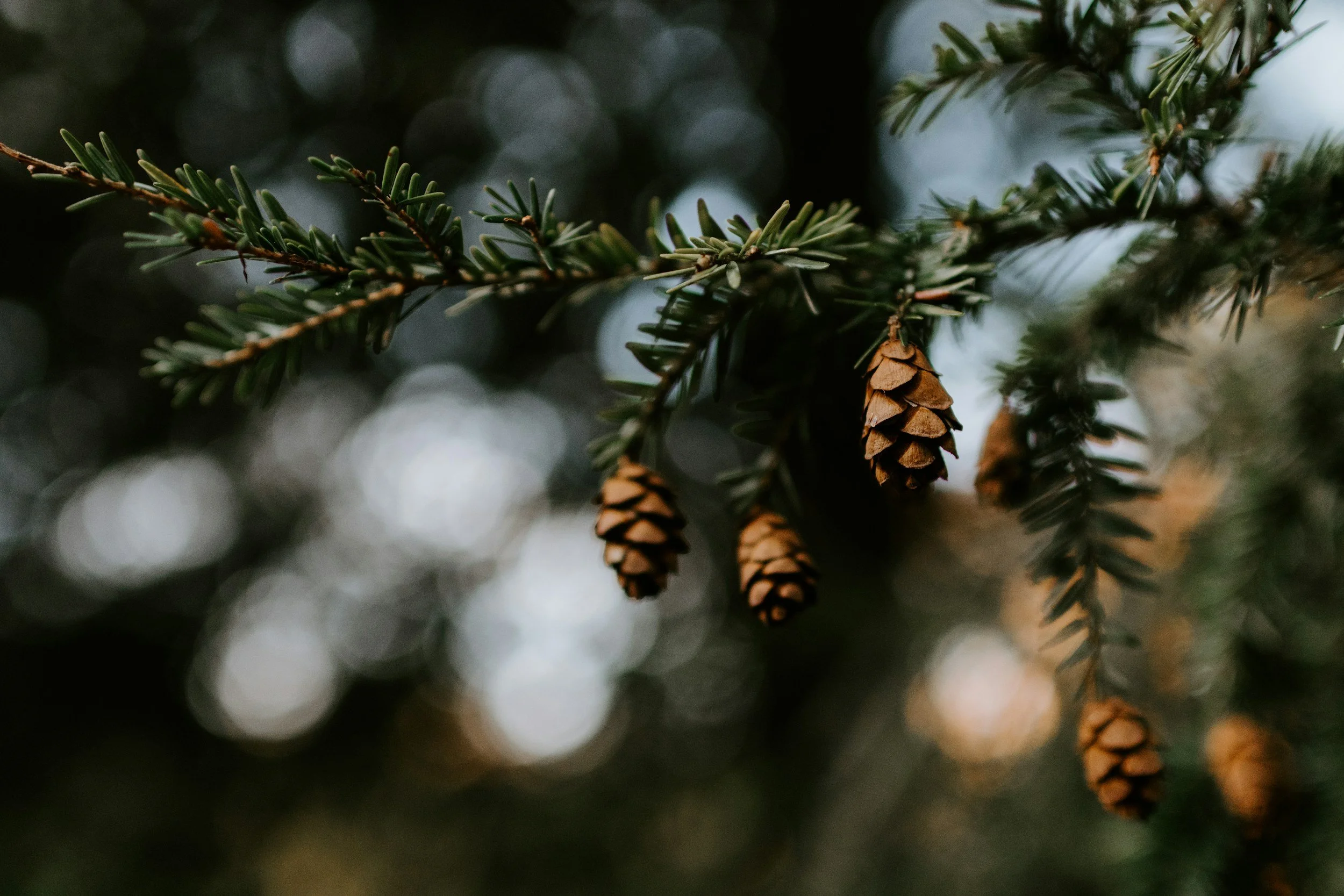 unsplash-image-qKyGCwp5nXA.jpg