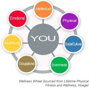 holistic life coach