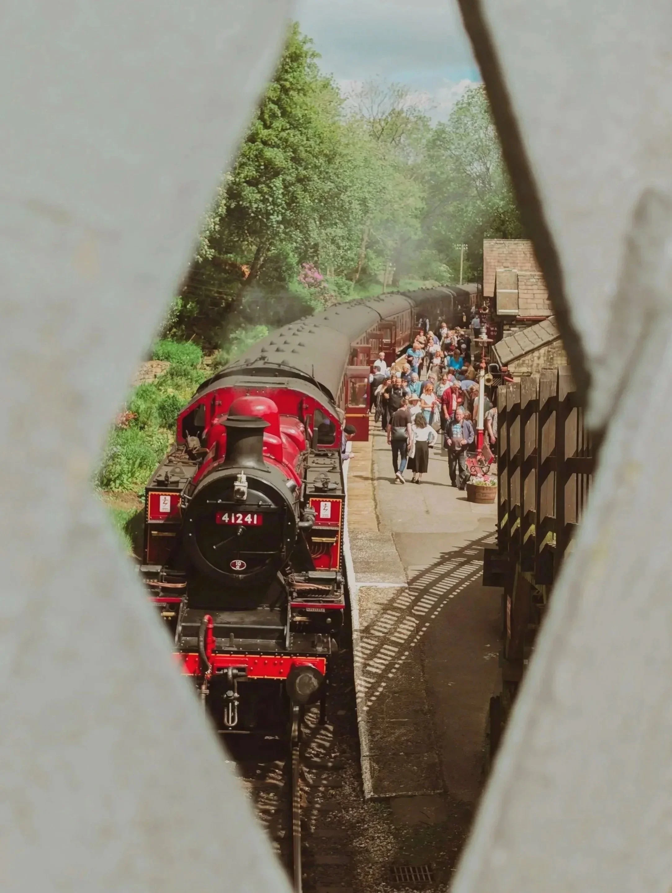 58796.jpg